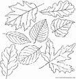 lamina para colorear dibujos del oto&ntilde;o. Hojas secas de los &aacute;rboles